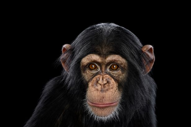 �����������ʳ�е������ں�����