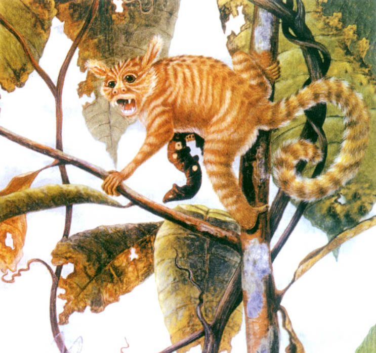 ��������Գ����ԭͼ