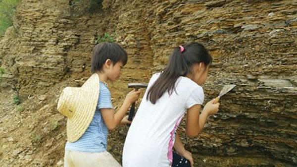 �μ�����Ӫ��С���ѳ�����ҳ�ҵز�����Ѱ��ʯ�ۼ�