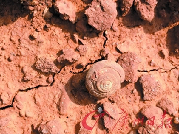 �㶫��ˮ���ִ���������ţ�ġ��ݻ�ʯ�� ���Լ5500����