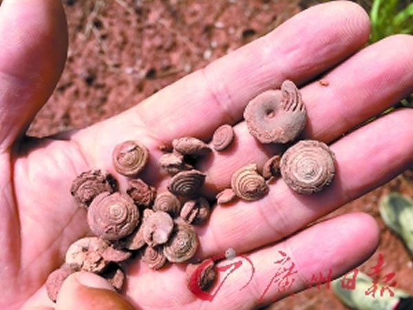 �㶫��ˮ���ִ���������ţ�ġ��ݻ�ʯ�� ���Լ5500����