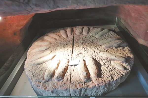 路易贝贝就是出生在这样的恐龙蛋群里