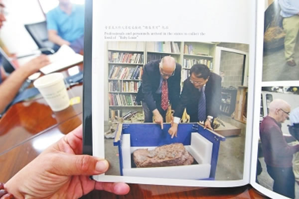 2013年,专家及工作人员赴美接收“路易贝贝”化石。