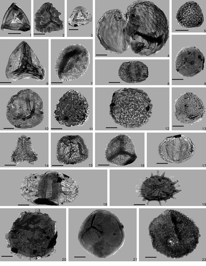 Shansiensis ߷еһЩҪַ