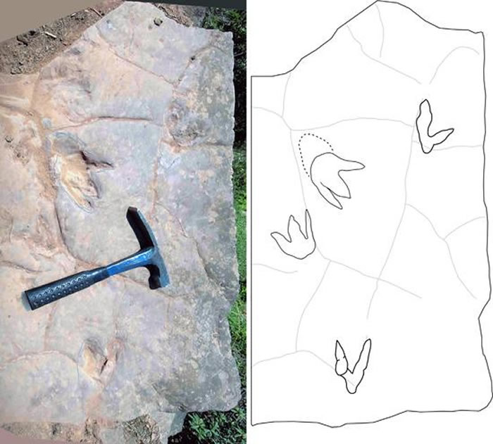 ����������㼣����ͨ��������㼣