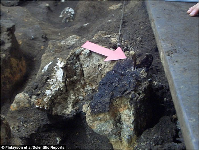 ��ʮ����ǰ�ؽ�������Ⱦ���Ѿ���в�������ཡ��