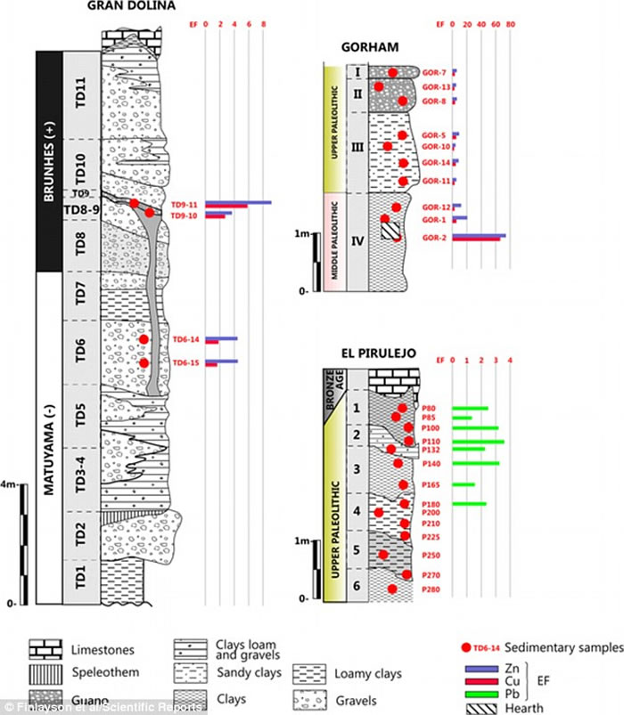 ��ʮ����ǰ�ؽ�������Ⱦ���Ѿ���в�������ཡ��