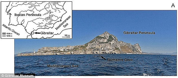 ��ʮ����ǰ�ؽ�������Ⱦ���Ѿ���в�������ཡ��