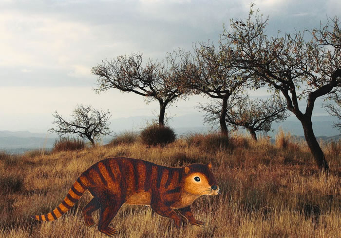 ����Kimbetopsalis simmonsae�����Ƿǳ����꣬ȴû�б�ƽ��β���������о���������������������ǿ�������Ҵ��ڿ������ʱ�ڡ�