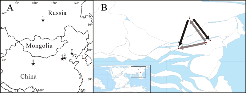 Parahagla sibirica�ķֲ�����ɢ;��