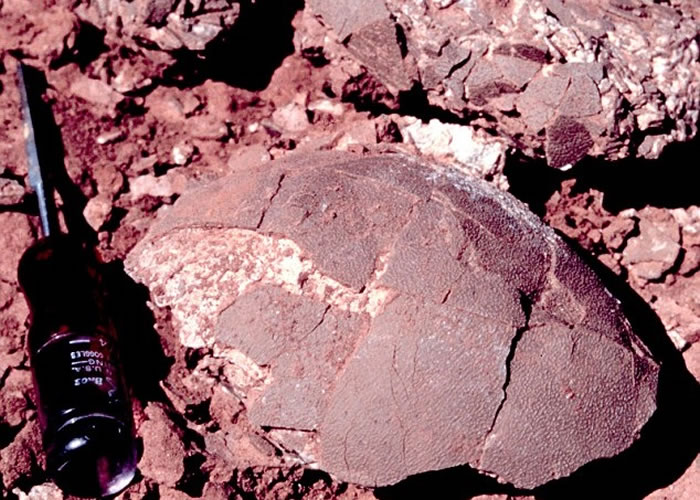 ��ѧ���о����԰���͢����7500����ǰ�ĳ���������������ʯ��