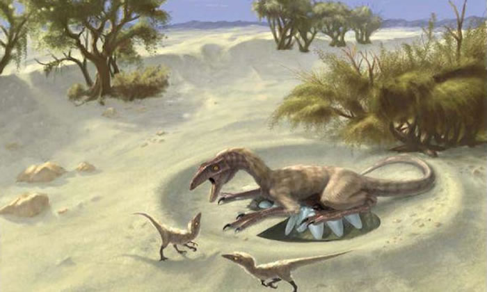 �о����ֲ�ͬ���͵Ŀ����������ϴ��ڽϴ����