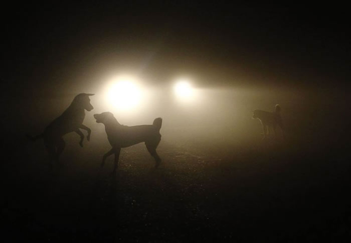 ���о���ʾ���������ڽӽ�������Ჴ�����ɹŵ����ǵ�����ѱ��