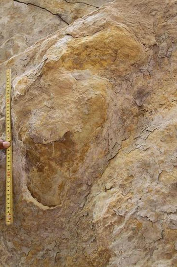 ���ͽ����໯ʯ