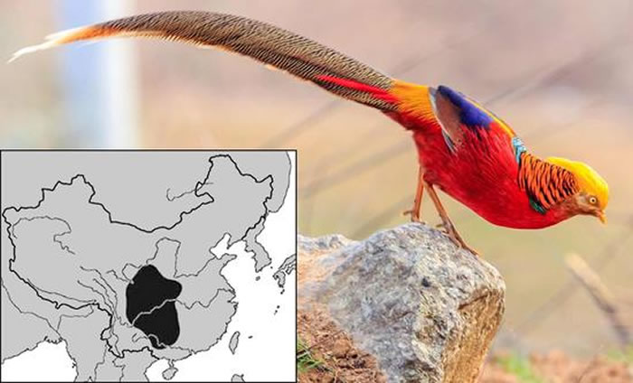 �츹����-��Ӱ����