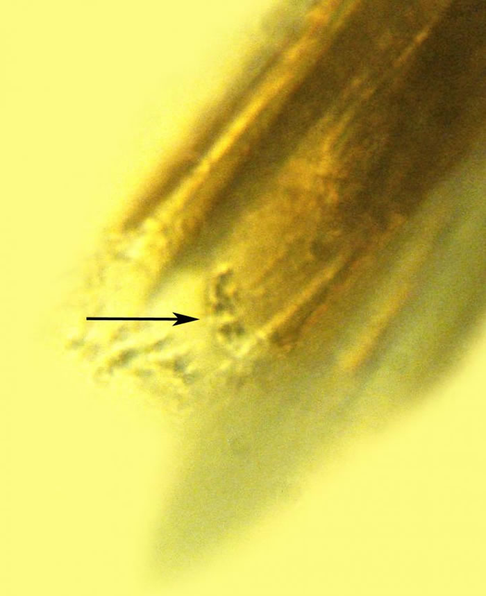 �о���Ա���֣�������Я����ϸ��λ�������๲����Һ��ִ�����Ү�����˾��кܶ�����֮����