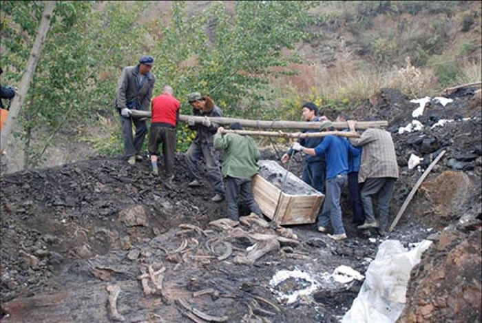 ͷ�����ȷ����ֳ�-��ѧƽ��