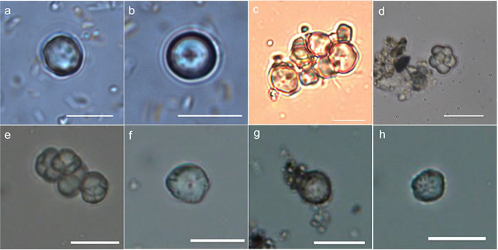 һ����ǰ��ס�ڳ������������Ѱ޲���Ϊ��ʳ