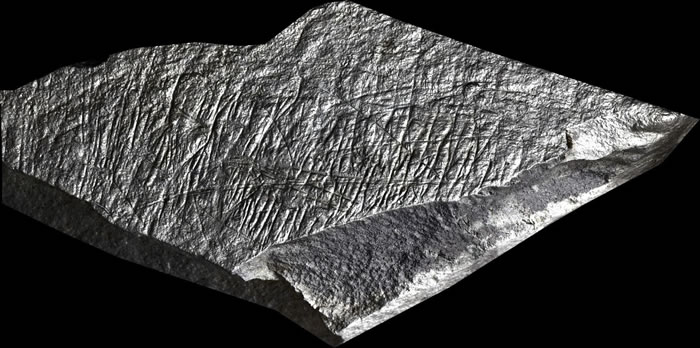 Ӣ�������Ŷ������������ֱ���ʱ��ĩ�����ඨ�ӵ㣬��Ϊ��ŷ�����ִ��˶��ӵ�