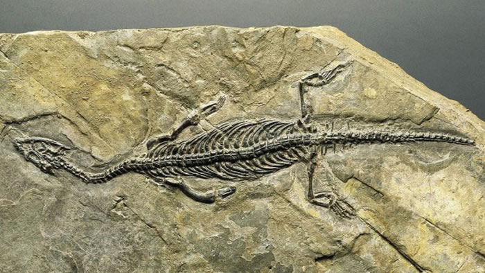 �����ε����������¼�����ǰ ����������Ũ�ȶ����ִ���½�