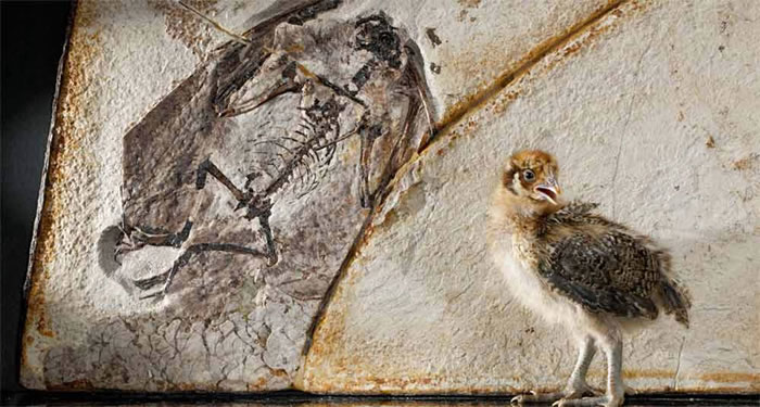 ������ѧ�������������п��������ļ�