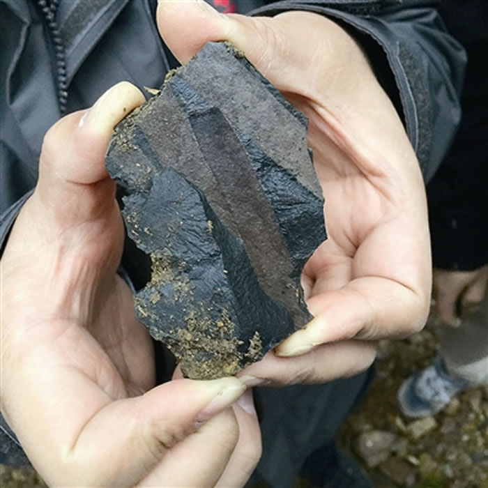 �̳��ˡ����ӡ��� �������֡������ӡ�