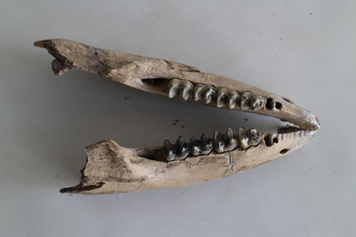 ����������