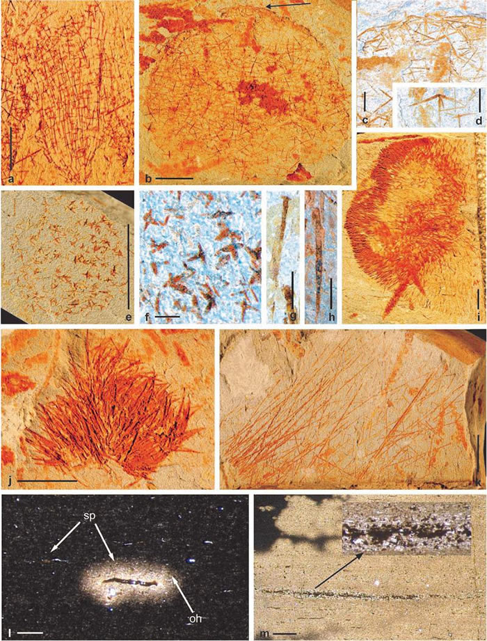 ��������������ˮ���ද��Ⱥ�Ĵ�������