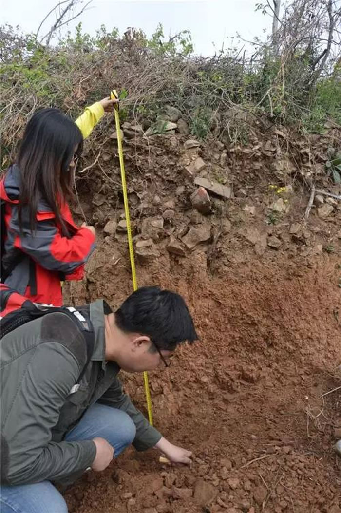 ��ׯ��ɽ�ص�����۲������