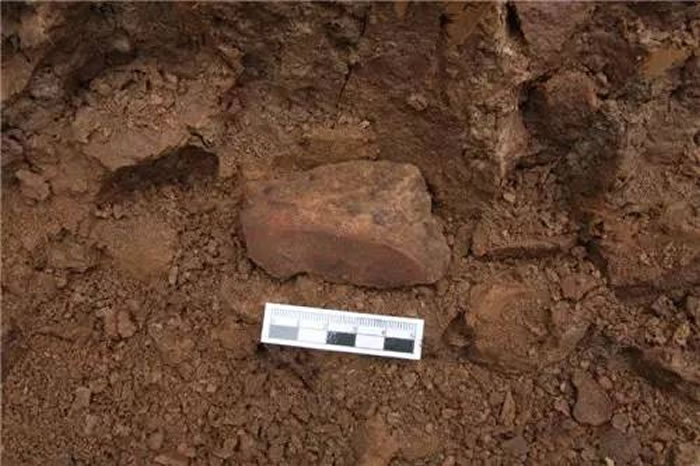 ��ׯ��ɽ�ص�ɼ����˹���Ʒ