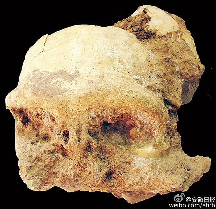 �й���������ַ����Գ�˻�ʯ