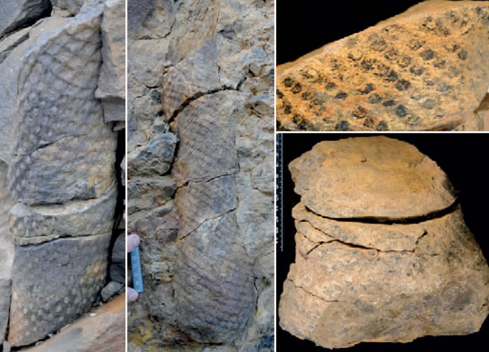 Ų��˹�߶�����Ⱥ���Ϸ���3.8����ǰʷǰɭ�ֻ�ʯ