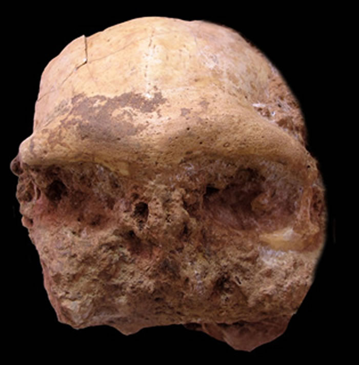 �ڻ����������Գ��ͷ�ǻ�ʯ