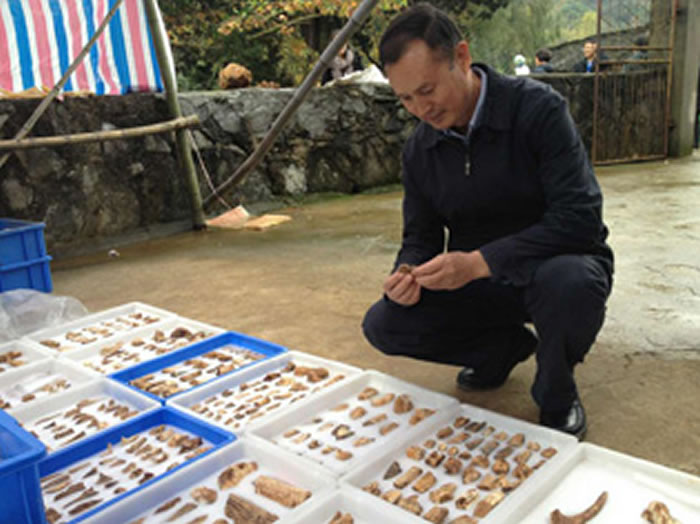 ���뻪����������Ŀ���й���ѧԺ�ż�׵����͹������о����о�Աͬ��������ַ����ũ��Ժ����������Ļ�ʯ��