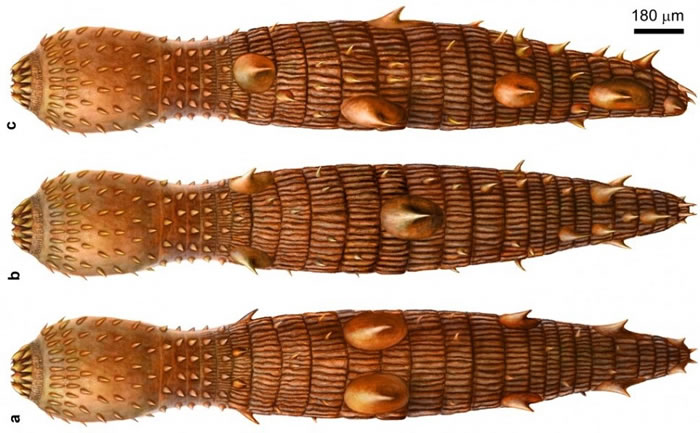 ʼ�涯�ǳ渴ԭͼ