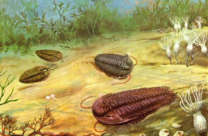 ��ѧ�ҷ�����3.15����2����ǰ������Ĥ�������Ӧ���������󣬷���2.52����ǰ���ִ�����¼��ܹ���ʹ���ֶ�������չ