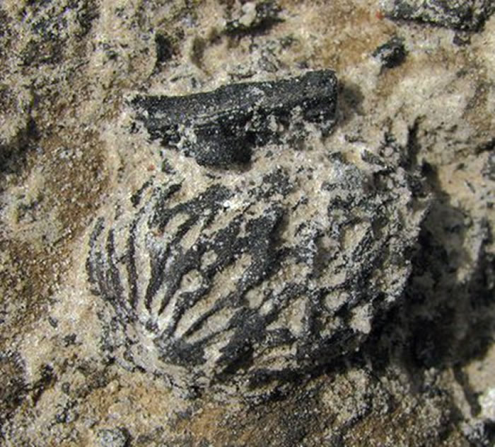 ������������������վ�������Һ˻�ʯ