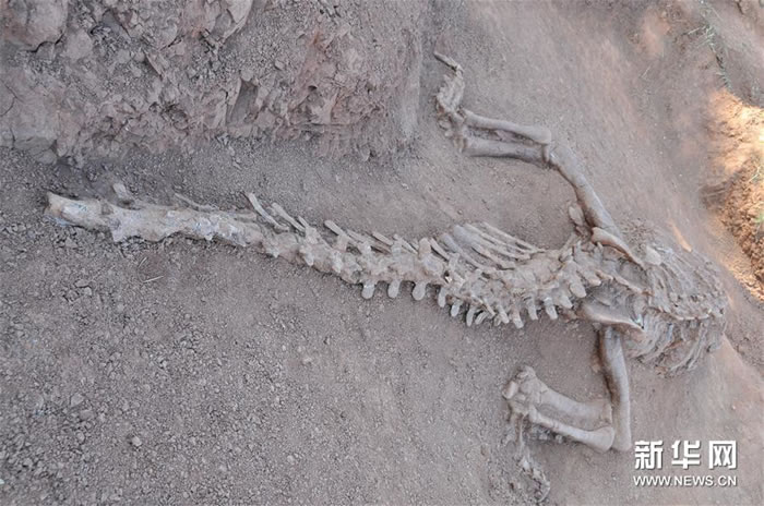 ��ר���ֳ����������Ʋ�Ϊ���Լ1.8���ꡰ����»�������Ļ�ʯ