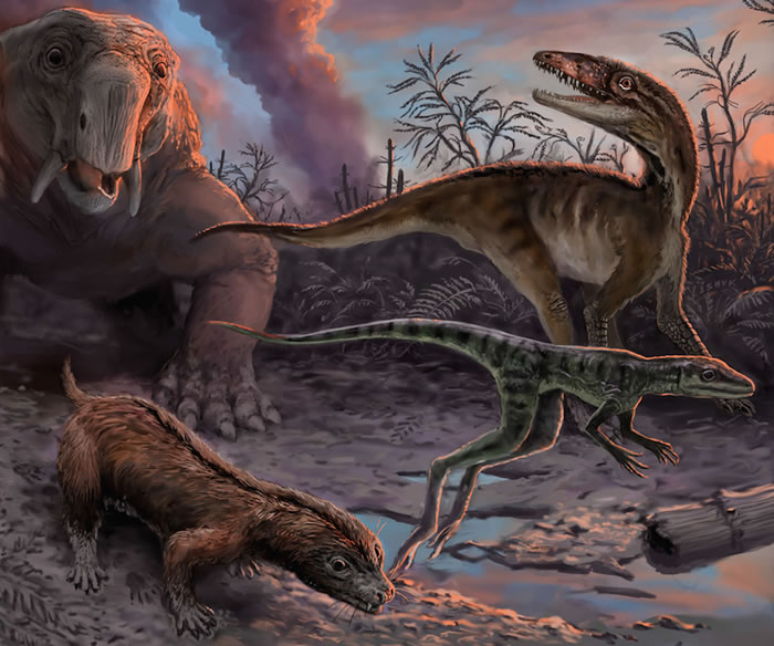 �о����ֿ�����������ϵ����ȳ��ֺ󲻾þ��Ѿ�����