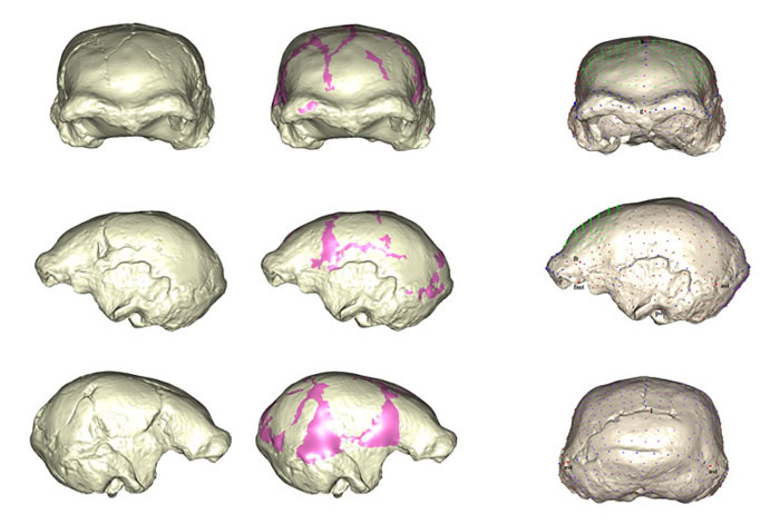 ����ֱ������­��ʯ������̬���ؽ��ͱ�־�㼰���־��λ��