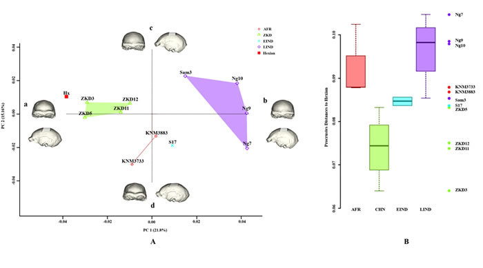 ��­������̬�ļ�����̬��������