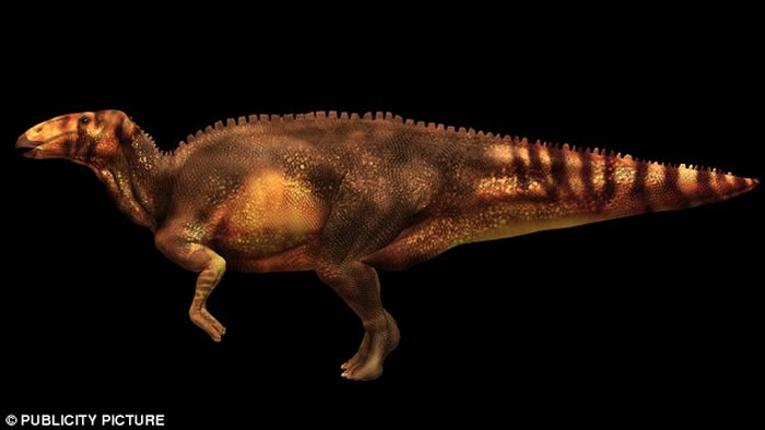 ������ѧ���о�����8000����ǰ������ʯ�в�����Ѫ����֯