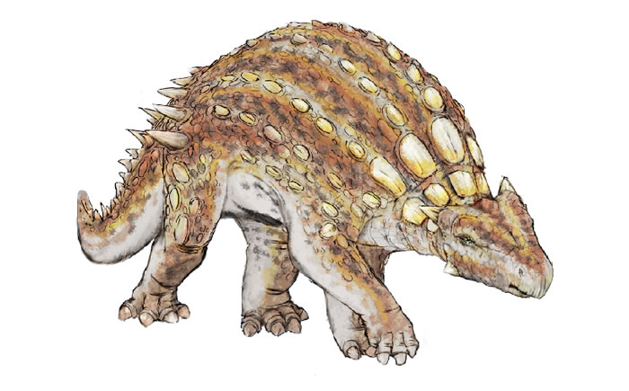 ڶڹ¿Kunbarrasaurus
