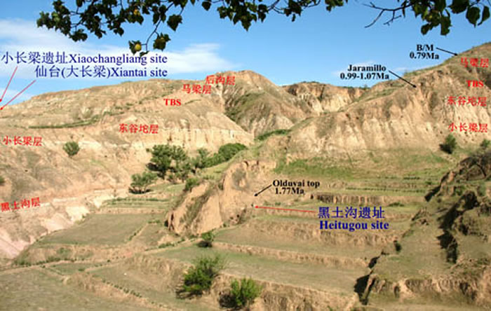 ͼ1 ��������ַ���ʵ���λ�� (���湩ͼ)