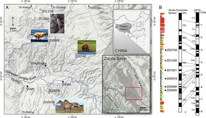 ͼ1 ���ذ��������������أ�ʢ�����鶯�ﻯʯ�����ר����������������з������������ëϬ�������ѩ��������ı����������ʯ������˵��ļͱ��ڶ���߳�����