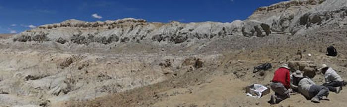 ͼ 2 ���ר�������Ұ����ڸߺ��Ρ�ȱ������ظ�ԭ�ϼ�෢�򣬻���������๷��ʯ���ϡ����������㣩