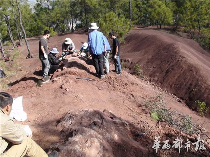 �Ĵ�����������٪������������������ʯ������ͨ������