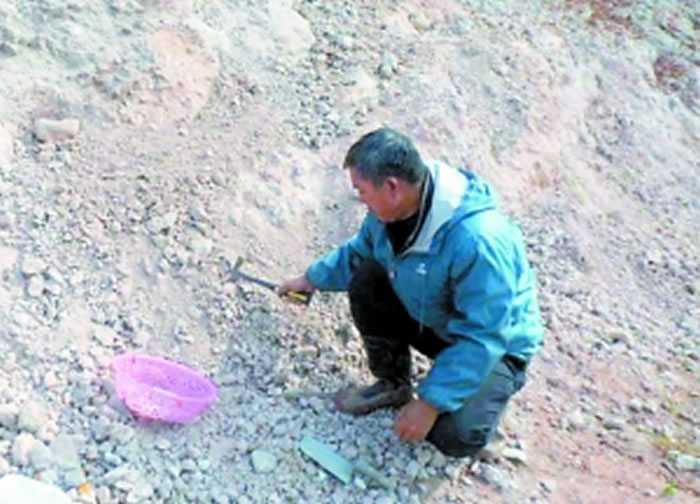 �Բӻ���Ѱ�ҹ����ﻯʯ���ټ�