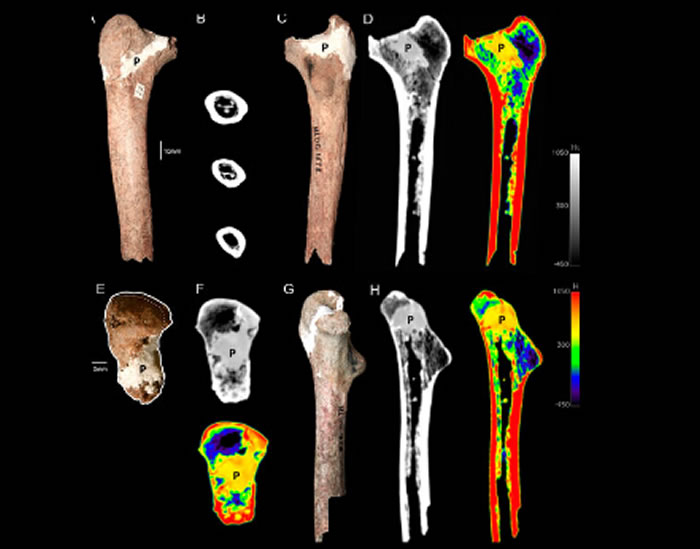 �й����ֵĹ����໯ʯ������һ��ԭʼ������ܴ�������һ������ʱ������