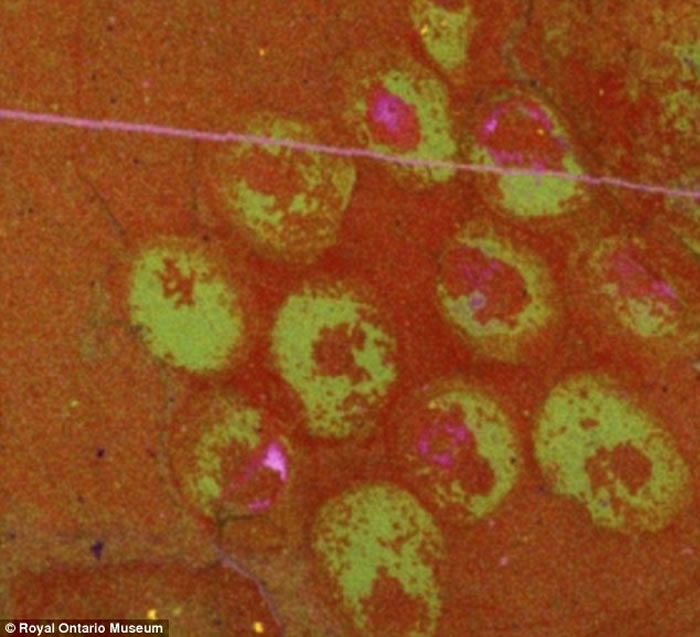 �о�Աָ��η��ָ���һ���˽⺮��ʹ󱬷��ڼ䣬���ﷱֳ�������